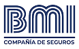 BMI